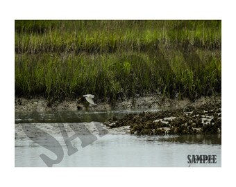 Great Egret Photography Printable Wall Art, Charleston South Carolina Marsh Landscape Print. Digital File for Download