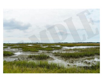Marsh Original Fine Art Photography