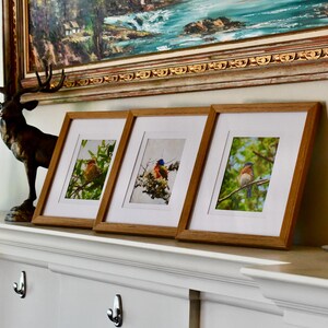May include: Three framed prints with images of birds perched on branches. The frames are a light brown color and are leaning against a white surface. A decorative deer statue and a candle holder are also visible.