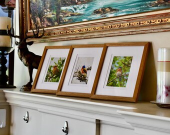 Bird Painting Wooden Frame Wall Art. Original Photography