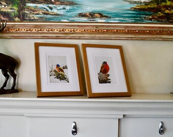 Bird Painting Set of Two Wooden Frame Wall Prints. Original Photography