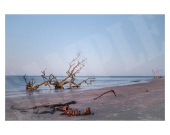Drift Wood Along Coast Photography Printable Wall Art, Coastal Photography Print. Digital File for Download