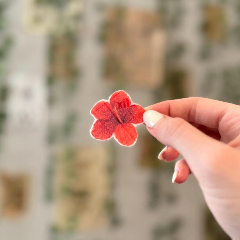 May include: A red hibiscus flower sticker, perfect for adding a touch of tropical flair to your crafts or projects.