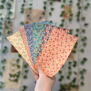 May include: A hand holds a fanned array of patterned papers. The papers display various designs, including stars, ice cream cones, and skulls, in colors like peach, blue, and tan. The background features hanging greenery and vintage-style paper.