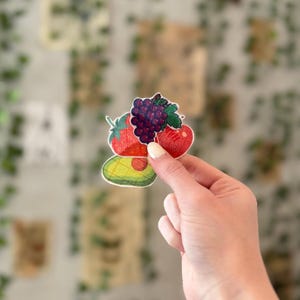 May include: A colorful sticker featuring illustrations of various fruits. The sticker includes a red strawberry, a bunch of purple grapes, a red apple, and a sliced avocado. The fruits are drawn with a textured, hand-drawn style.