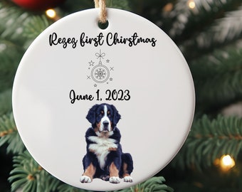 Custom Pet Photo Christmas Ornament