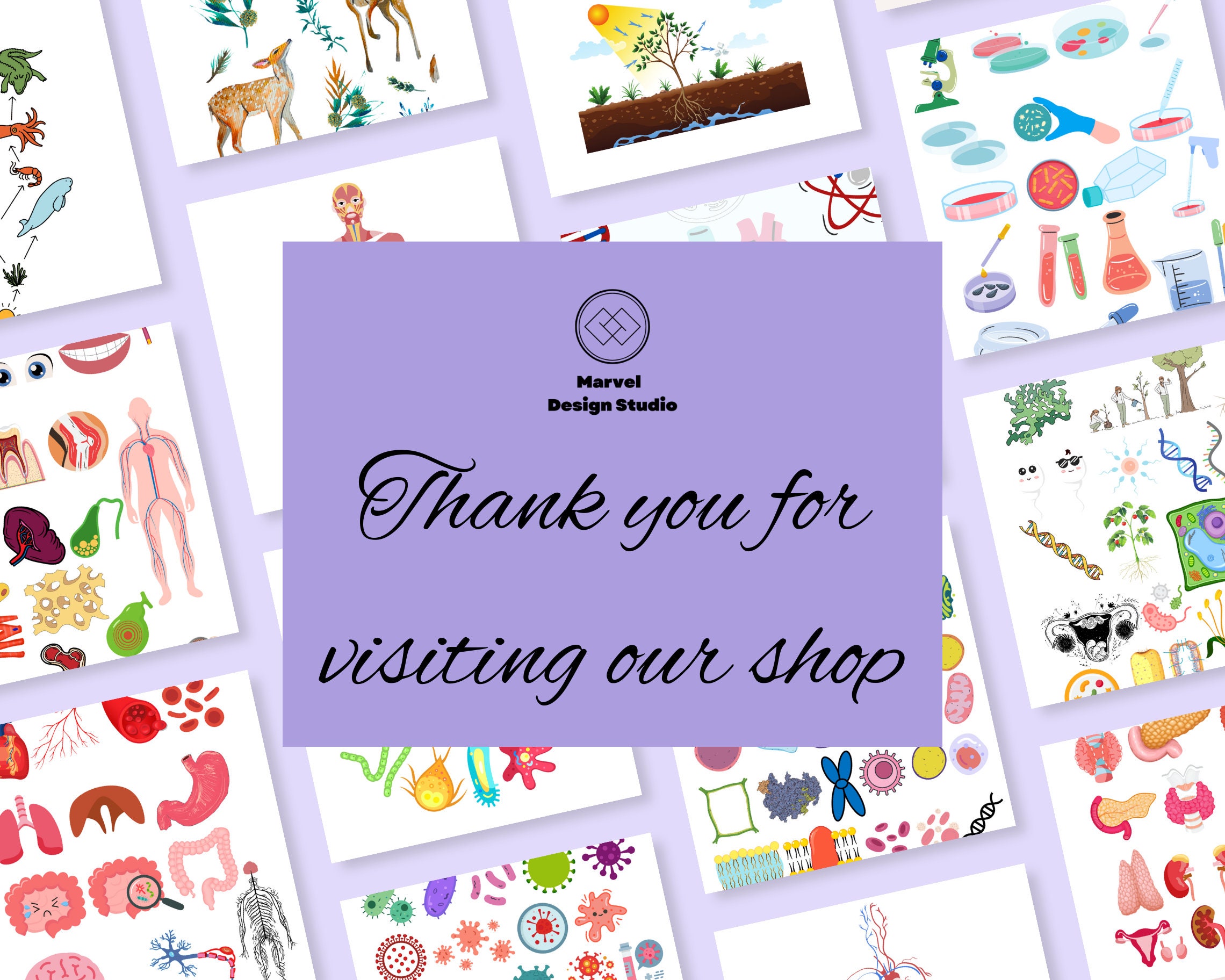 Biology & Anatomy Digital Stickers, Handdrawn iPad Goodnotes, Precropped Human Body Stickers