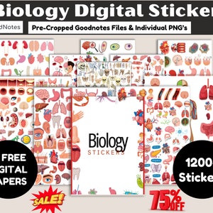 Biology & Anatomy Digital Stickers, Hand-Drawn iPad GoodNotes, Pre-cropped Human Body Stickers, anatomy Digital stickers, Goodnotes stickers
