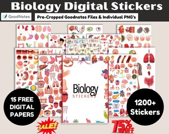 Biologie en anatomie Digitale stickers, Handgetekende iPad GoodNotes, Voorgesneden menselijke lichaamsstickers, Anatomie Digitale stickers, Goodnotes-stickers