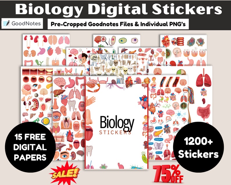 Biology & Anatomy Digital Stickers, Handdrawn iPad Goodnotes, Precropped Human Body Stickers