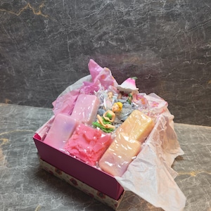 Fairy Garden Soap Gift Set: Handmade Pastel Artisan Soaps