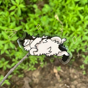 Cute cat sticker // Happy cat sticker // Cat lover // Cat lovers gift // feline sticker // Una pegatina de gato // Cat stickers cute