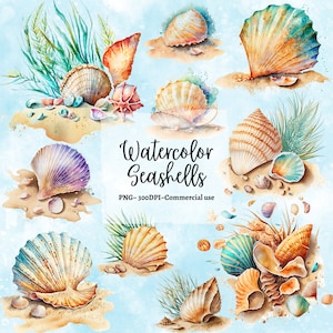 20 PNGs Acquerello Conchiglie Clipart / Sole e sabbia / Conchiglie di acque della spiaggia in formato PNG, sfondo trasparente, Uso commerciale