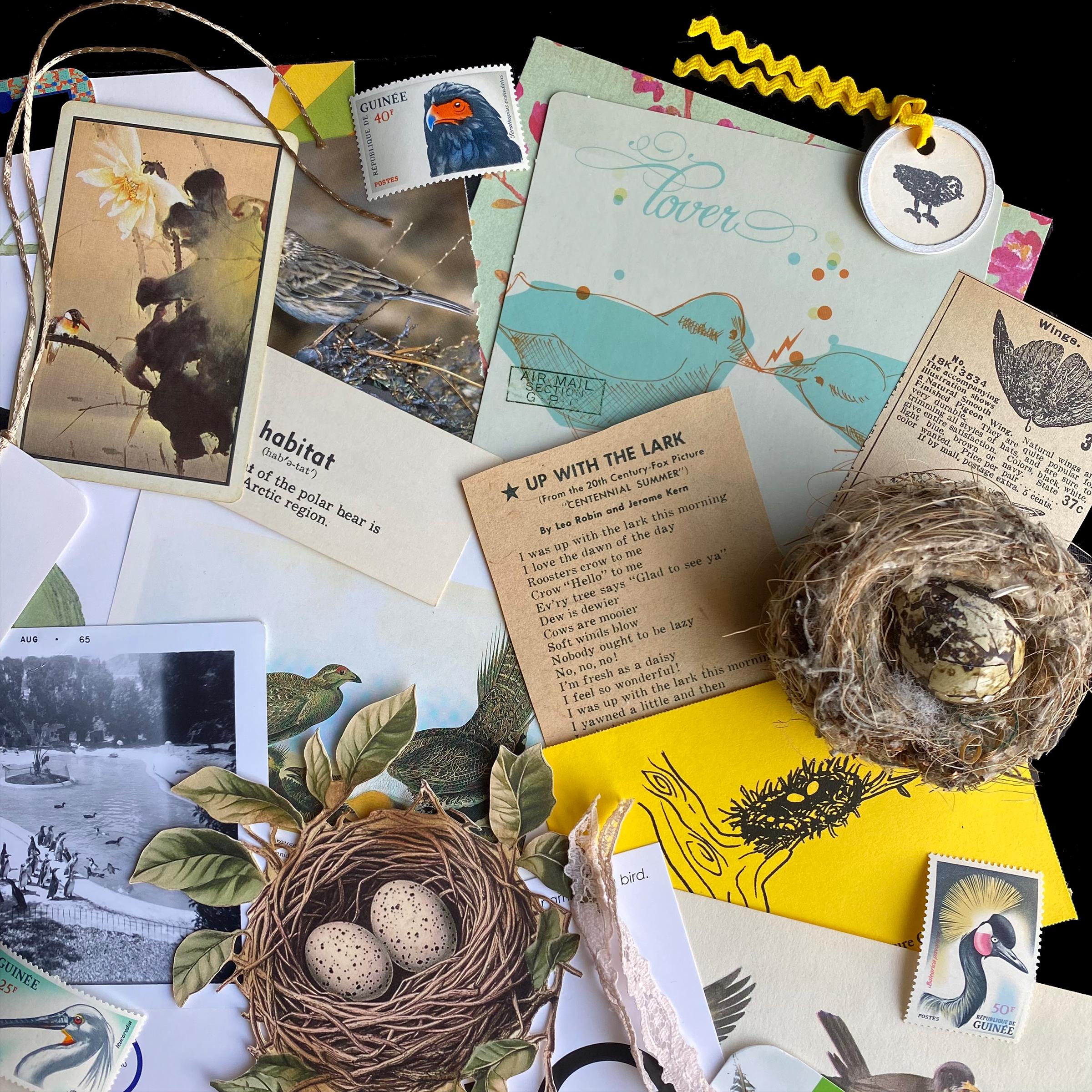 Bird Junk Journal Kit: Vintage Ephemera, Paper Crafts (44+ Pieces) - Etsy