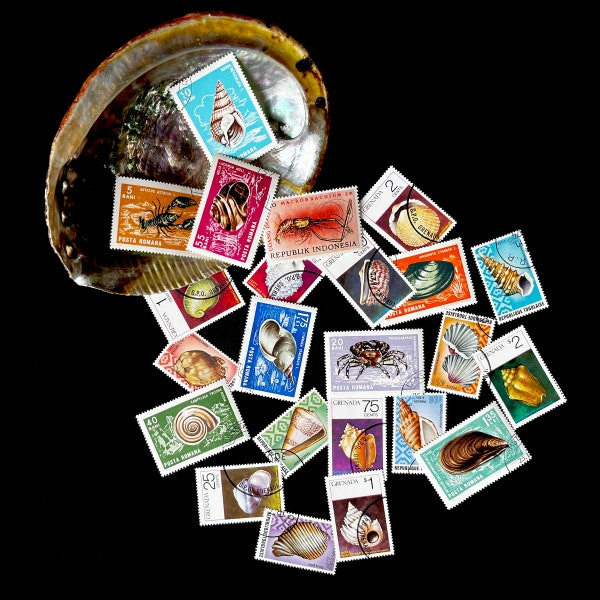 Seashell Stamps • Scrapbooking • Art Projects • Journaling • Philately • Conchologist • Shell Collector