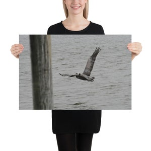 Poster Pelican Flying, arte murale, arte, arredamento per la casa, uccelli, costiero, ufficio, occasione speciale, regalo