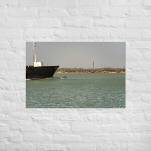 Poster, Delfino che gioca davanti alla nave, arte murale, casa, ufficio, dormitorio, regalo