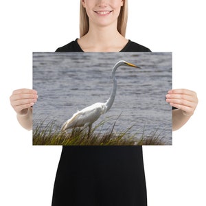 Póster fotográfico de garceta grande, fotografía, arte de pared, decoración del hogar, imagen, regalo, ocasión especial