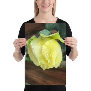Poster Kaktus Blume, Wandkunst, Wohnkultur, Haus, Büro, Kunst, Fotografie, Geschenk