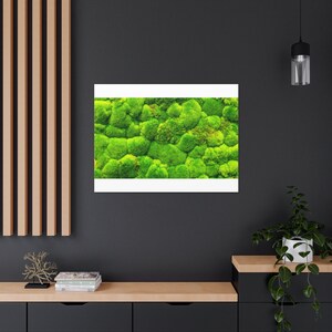 苔の壁アート