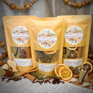 May include: Three tan stand-up pouches labeled Plant Lady Botanicals containing dried botanicals. The labels read Holiday Pie, Winter Forest, and Clean & Cozy. Dried orange slices, cinnamon sticks, star anise, and greenery are visible.