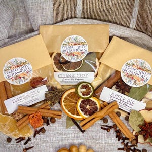 May include: Three brown paper pouches labeled Plant Lady Botanicals containing simmer pot ingredients. The labels read Pumpkin Spice, Clean & Cozy, and Apple Pie. Dried orange slices, cinnamon sticks, star anise, and cloves are visible.