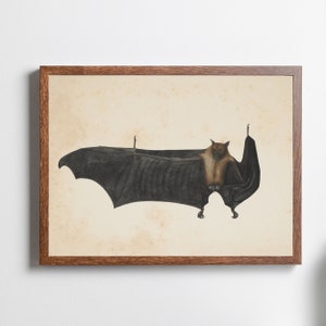 Vintage Bat Print Illustration | Antique Halloween Wall Art | Dark Moody Bat Art Print | Spooky Wall Decor | Witchy Spooky Art
