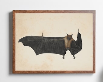 Vintage Bat Print Illustration | Antique Halloween Wall Art | Dark Moody Bat Art Print | Spooky Wall Decor | Witchy Spooky Art