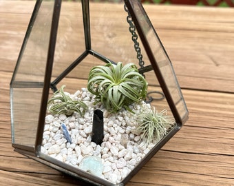 Geometric Terrarium with Multiple Air Plants and Gemstones