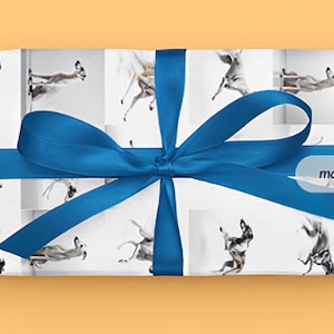 Greyhound Gift Wrap Paper
