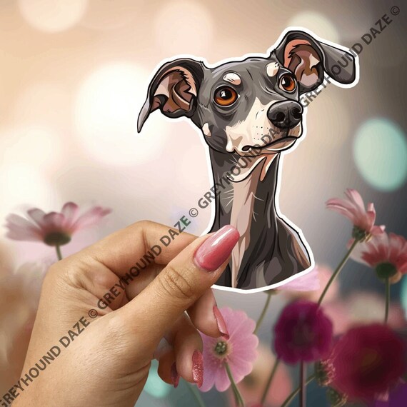 Iggy Smiling Greyhound Italian Greyhound, Cartoon Iggy Decal
