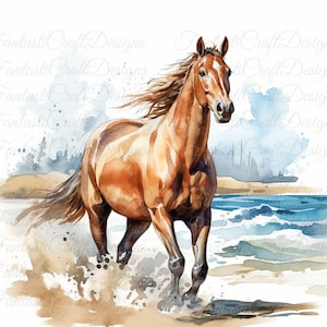 8 Pferde Pferdestrand Porträt Pony Tier Aquarell Clipart Printable JPG Digital Download 300 DPI Kommerzielle Nutzung Sublimation Bild Bundle