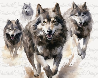 Wolf Running Hungry Animal Watercolor Clipart Wolves 12 Pack Art PNG Digital Download 300 DPI Commercial Use Sublimation Art Image Bundle