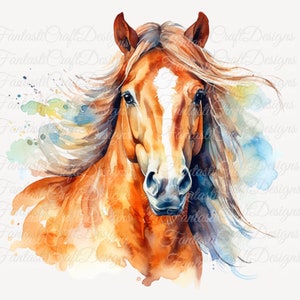 10 Pferde Pferdeportrait Pony Tier Aquarell Clipart Druckbare PNG JPG Digital Download 300 DPI Kommerzielle Nutzung Sublimation Bild Bundle