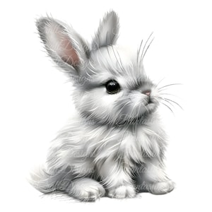 10 niedliche Osterhase Tier Aquarell Clipart Flauschige Kaninchen-Pack PNG Digital Download 300 DPI Kommerzielle Nutzung Sublimation Kunst Bild Bündel