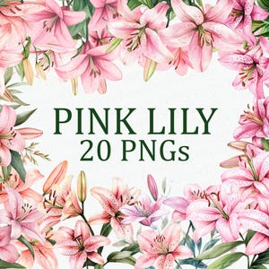 Flor de Lírio Rosa 20 Pacote de Clipart Floral Aquarela Lírio Rosa Clipart Flor Arte PNG Download Digital Uso Comercial Pacote de Imagem de Sublimação
