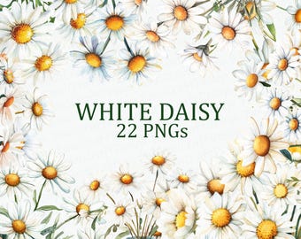 White Daisy Flowers 22 Floral Clipart Pack Watercolor Daisy Printable PNG Digital Download DPI Commercial Use Sublimation Art Image Bundle