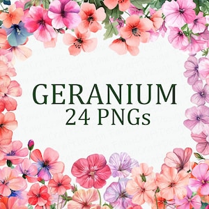 ゼラニウムの花 24 個の花のクリップアート パック 水彩ゼラニウムの花のクリップアート アート PNG デジタル ダウンロード 商用利用 昇華画像バンドル