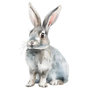 May include: Watercolor illustration of a gray rabbit with long ears and a fluffy tail. The rabbit is sitting upright, with its eyes open and whiskers visible. The artwork has a soft, pastel color palette, perfect for Easter or spring-themed designs.