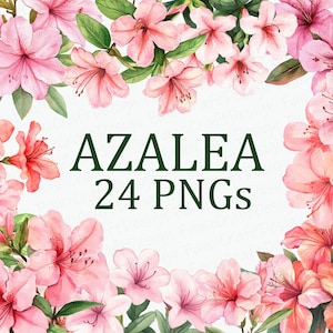 Paquete de 24 imágenes prediseñadas de flores de azalea, imágenes prediseñadas de flores de azalea rosa en acuarela, descarga digital PNG, uso comercial, paquete de imágenes de sublimación