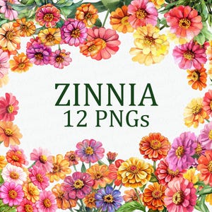 May include: A watercolor illustration of a wreath of pink, orange, and yellow Zinnia flowers. The wreath is on a white background with the text "ZINNIA 12 PNGs" in green.