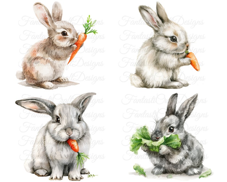 12 Cute Easter Bunny Animal Watercolor Clipart Fluffy Rabbit Pack PNG ...