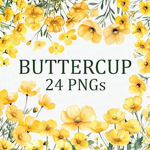 Butterblume gelbe Blumen 24 Floral Clipart Pack Druckbare Aquarell PNG Digitaler Download DPI Kommerzielle Verwendung Sublimation Kunst Bild Bündel