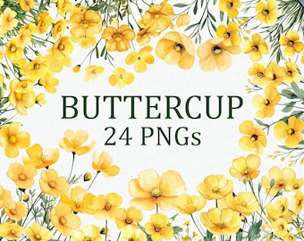 May include: A digital illustration of 24 watercolor-style yellow buttercup flowers with green stems and leaves. The flowers are arranged in a circle around the text "BUTTERCUP 24 PNGs".