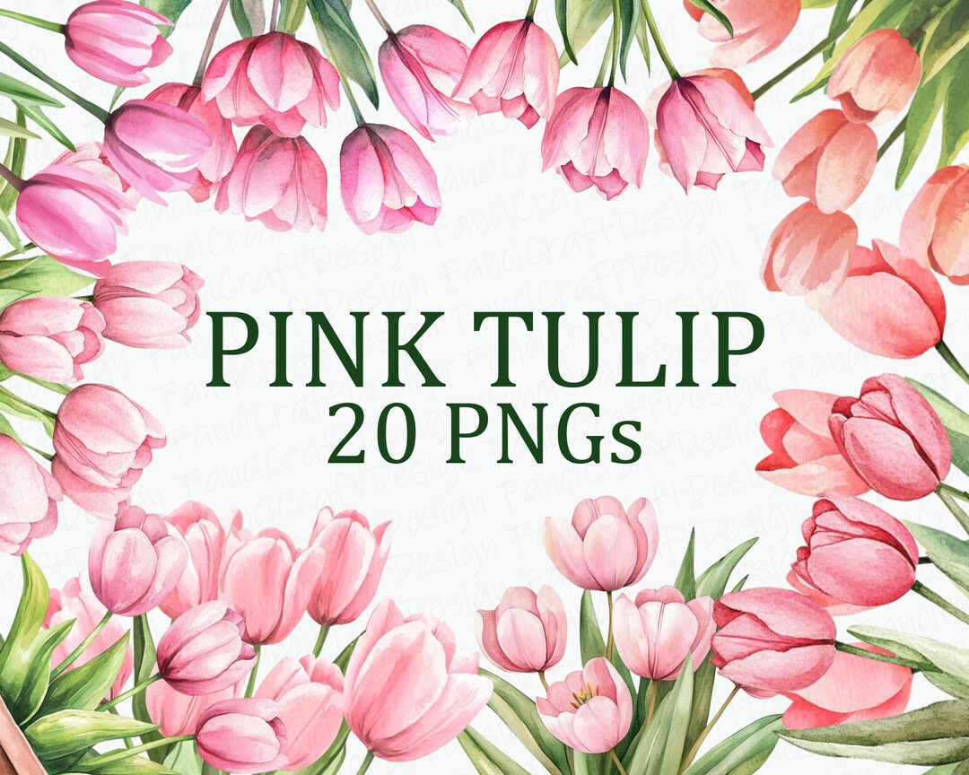 Pink Tulip Flower 20 Floral Clipart Pack Watercolor Pink Tulip Flower ...