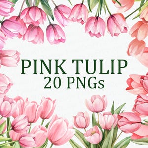 Pacchetto di 20 Clipart floreali con fiori di tulipano rosa, acquerello, clipart di fiori di tulipano rosa PNG, download digitale, uso commerciale, pacchetto di immagini a sublimazione