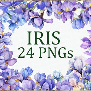 Iris fleurs violettes 24 Iris floral Clipart Pack aquarelle PNG imprimable en téléchargement numérique DPI pour usage commercial Sublimation Art Image Bundle