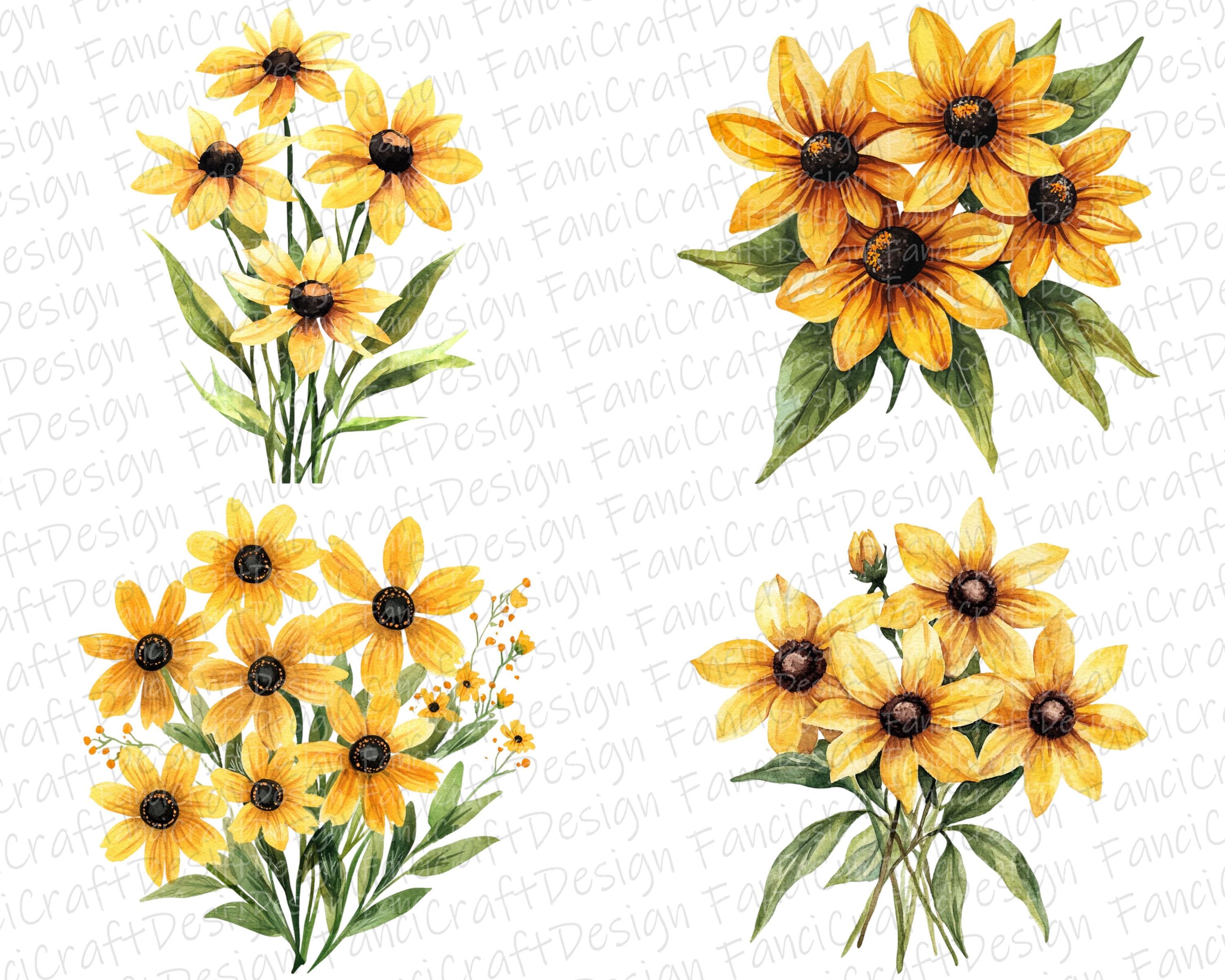 Black Eyed Susan Flowers 24 Floral Clipart Pack Yellow Watercolor PNG ...