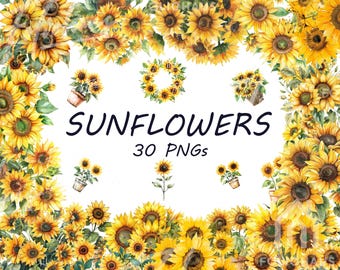 Sonnenblume Clipart - süße Aquarell Blumen (30 PNGs) Aquarell Blumen Kunst PNG Digital Download Kommerzielle Nutzung Sublimation Bild Bündel