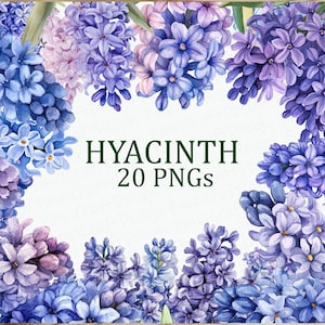 Hyacinth Purple Flowers 20 Floral Clipart Pack Watercolor Printable PNG Digital Download DPI Commercial Use Sublimation Art Image Bundle